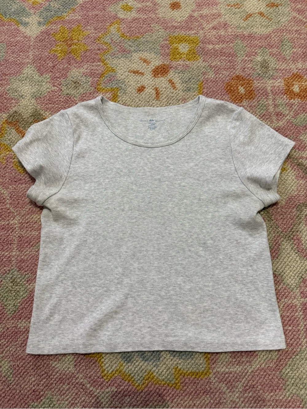 Brandy Melville Cropped Tee